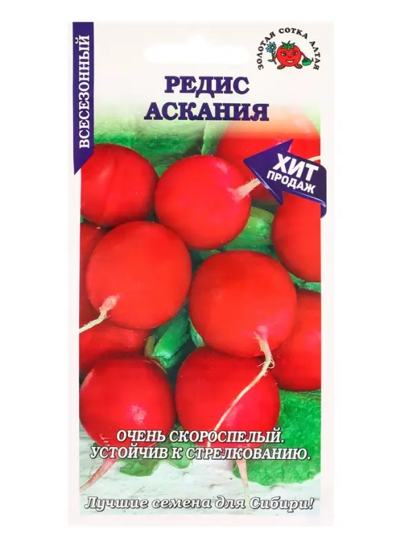 Семена Редис Аскания /Сотка/ 1 г/скорос./*800
