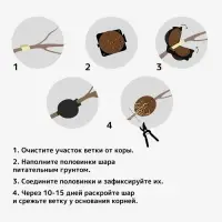 Шар для укоренения растений, d = 5,5 см, под ветку 0,5 см, чёрный, Greengo