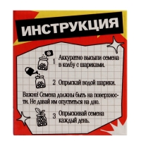 ЭВРИКИ Набор для опытов "Выращиваем травку", красный