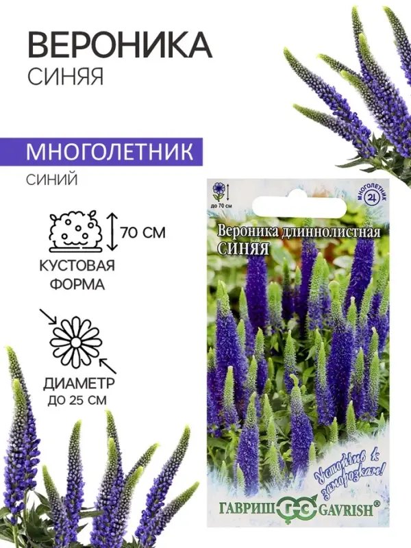 Семена Вероника "Синяя", ц/п,   0,02 г