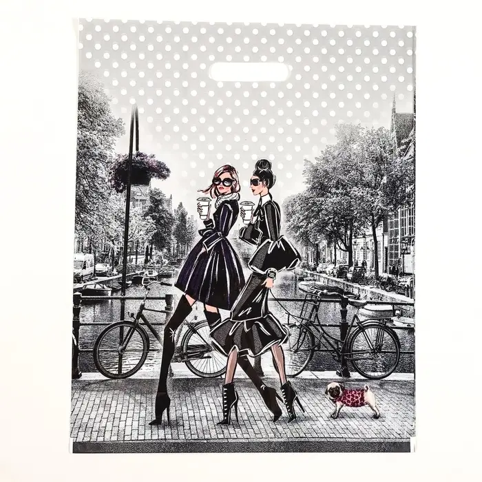 Пакет &laquo;Подружки&raquo;, полиэтиленовый с вырубной ручкой, 38&times;47 см, 60 мкм