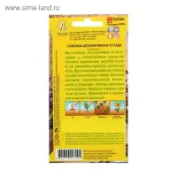 Семена Лаванда "Услада" декоративная, 0,1 г