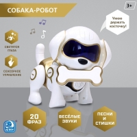 Робот собака &laquo;Чаппи&raquo; IQ BOT, интерактивный: сенсорный, свет, звук, музыкальный, танцующий, на аккумуляторе, на русском языке, золотой