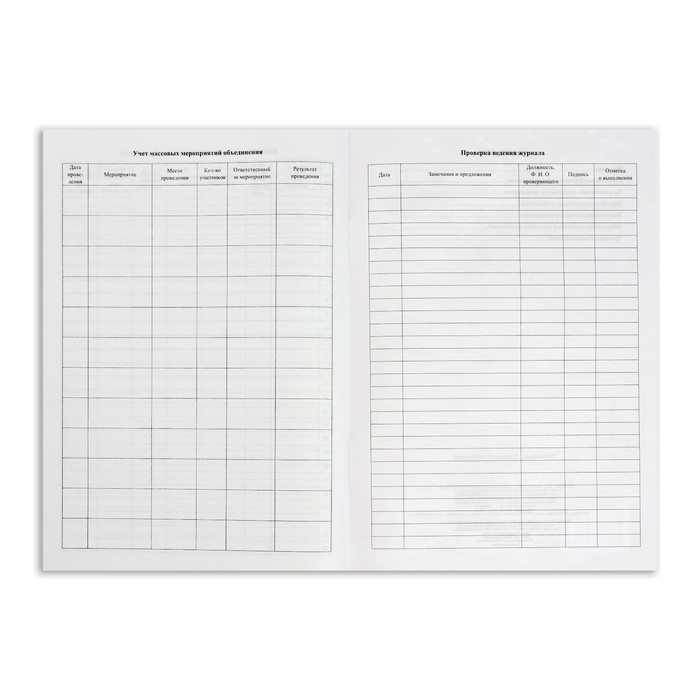 Журнал учета внеурочной деятельности в образовательной организации А4, 32 листа