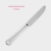 Ножи столовые из нержавеющей стали Доляна &laquo;Капля&raquo;, длина 23 см, 6 шт, цвет серебряный