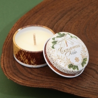 Новогодняя Свеча новогодняя в железной банке &laquo;Новый год: Сказочного года&raquo;, аромат еловые шишки, диам. 4,8 см