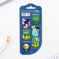 Закладки магнитные на подложке &laquo;Любимому учителю&raquo;, 6 шт.