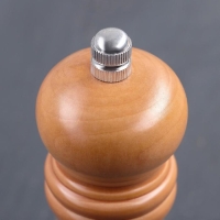 Мельница для специй Доляна, 13,5&times;4,5 см, металлический механизм, цвет бежевый