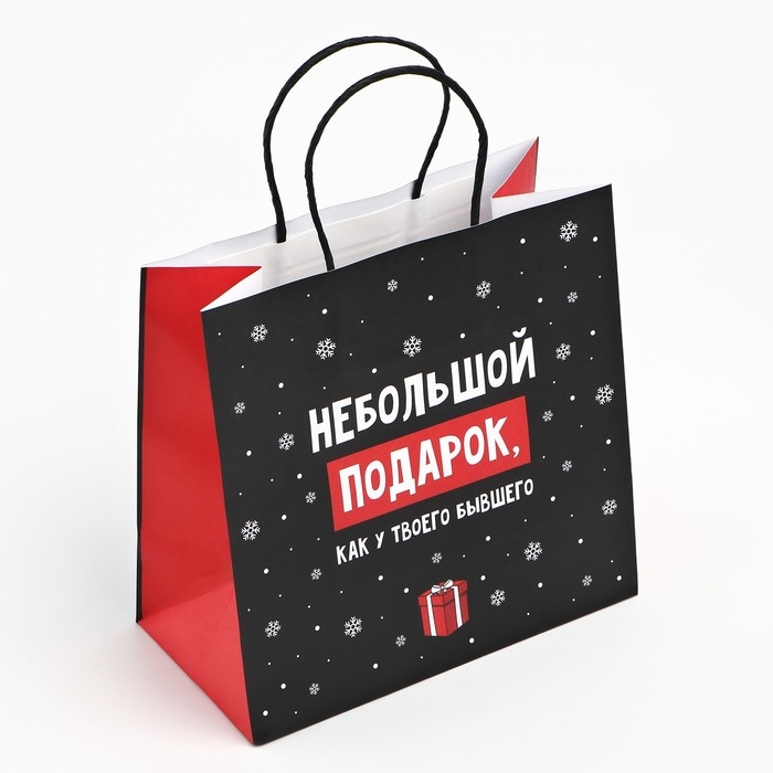 Пакет подарочный новогодний &laquo;Небольшой подарок&raquo;, 22 х 22 х 11 см , Новый год