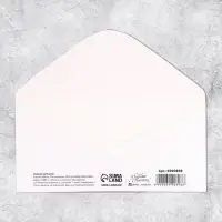 Конверт для денег &laquo;День рождения&raquo; тиснение, 16.5&times;8 см