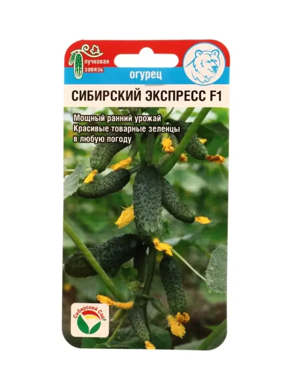 Семена Огурец СИБИРСКИЙ ЭКСПРЕСС F1 7шт