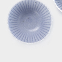 Салатники Доляна &laquo;Коралл&raquo;, d=16.1 см, набор 2 шт., керамика, голубые