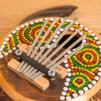 Сувенирный музыкальный инструмент Калимба &laquo;Черепаха&raquo;, 18&times;24&times;6 см, албезия, кокос