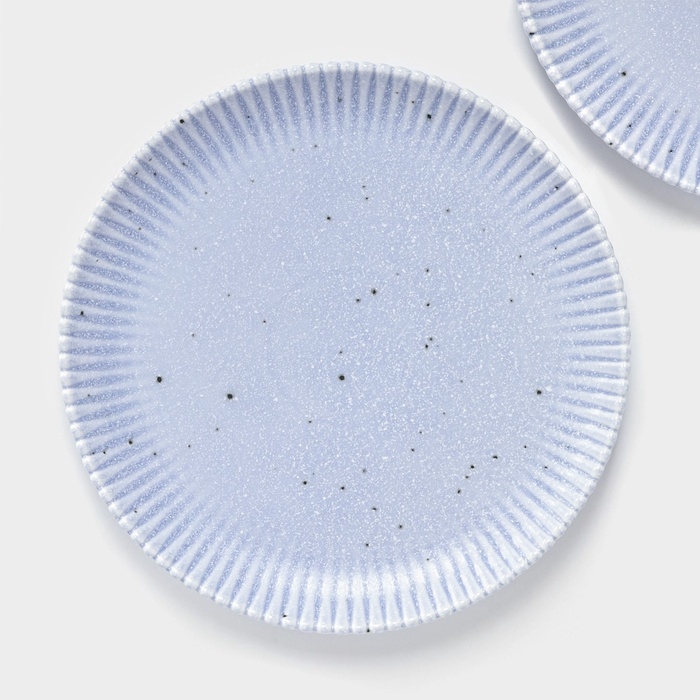 Тарелки Доляна &laquo;Коралл&raquo;, d=25,9 см, набор 2 шт, фарфор, голубые