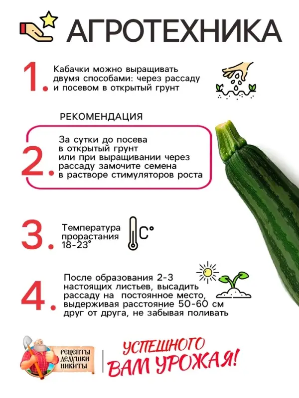 Семена Кабачок цукини "Зебра", 2 г