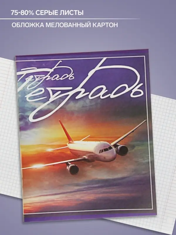 Тетрадь 48 листов в клетку Calligrata &laquo;Самолеты&raquo;, обложка мелованный картон, блок №2, белизна 75% (серые листы), МИКС