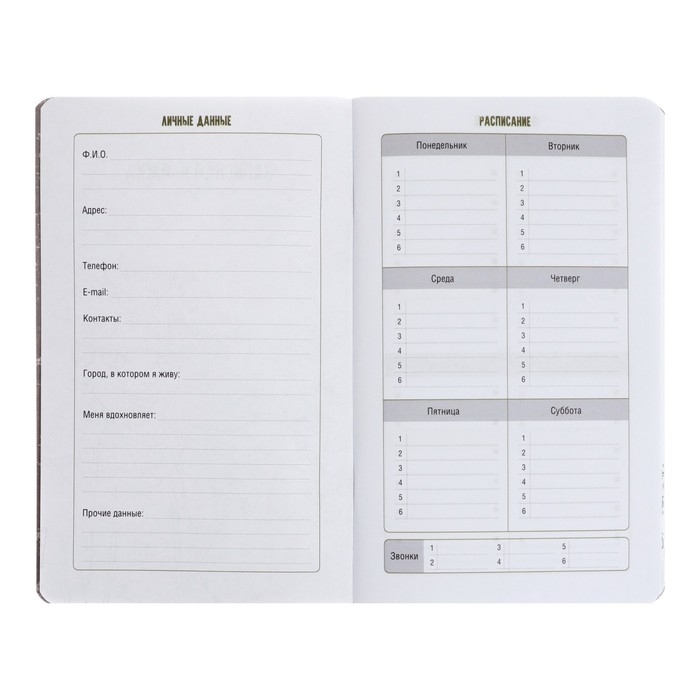 Записная книжка для мальчиков 130 х 210 мм, 56 листов в линейку "Анимэ", обложка мелованный картон, ламинация Soft-Touch, выборочный УФ-лак