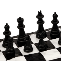 Шахматы 40 х 40 см, король h-5.6 см, d-2.3 см, фигуры пластик
