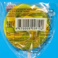 Карамель леденцовая &laquo;Диск&raquo;, кислая, на палочке, 15 г