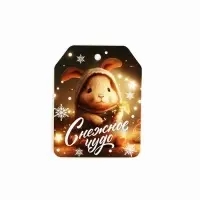 Шильдик на подарок &laquo;Чудо обязательно случится!&raquo;, набор 6 штук, 16&times;24 см