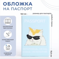 Обложка для паспорта, цвет голубой