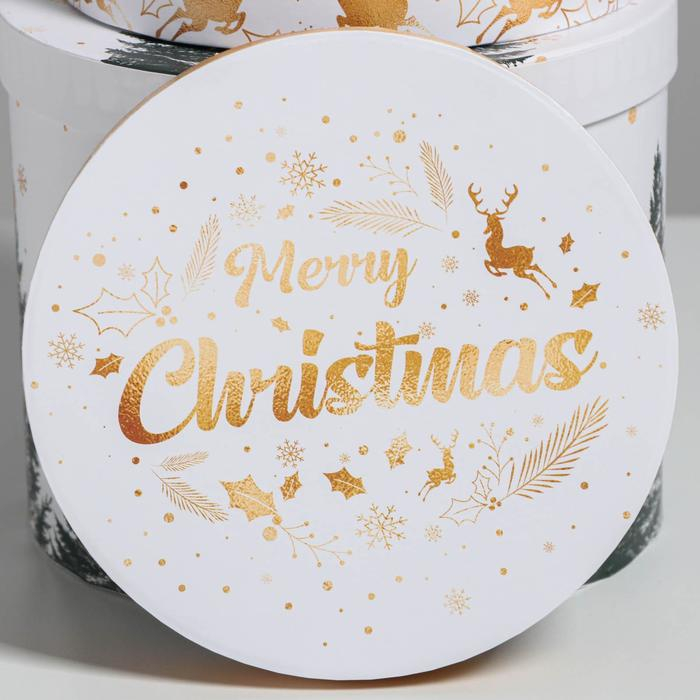 Набор подарочных коробок 5 в 1 &laquo;Белое золото&raquo;, 13 х 14‒19.5 х 22 см, Новый год