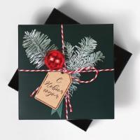 Коробка новогодняя складная &laquo;Новогодняя посылка&raquo;, 17 х 17 х 7 см, Новый год