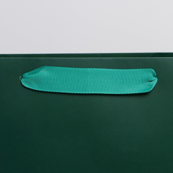 Пакет подарочный ламинированный, упаковка, &laquo;Изумрудный&raquo;, L 31 х 40 х 11.5 см