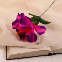 Цветы искусственные &laquo;Бегония криспа&raquo;, h=27 см, d=11 см, сиреневые