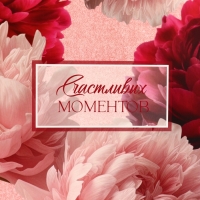 Пакет подарочный вертикальный "Счастливых моментов", 26 &times; 32 &times; 12 см