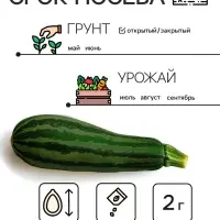 Семена Кабачок цукини "Зебра", 2 г