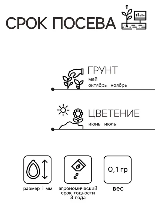 Семена Гипсофила "Кармин", ц/п,  0,1 г