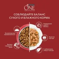 Сухой корм Purina One medium/maxi для взрослых собак, курица/рис, 10 кг