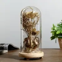 Ночник "Колба с букетом" LED 3ААА 22,5х9,5х11 см RISALUX