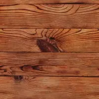 Бумага упаковочная глянцевая двухсторонняя &laquo;Дерево&raquo;, 70 х 100 см