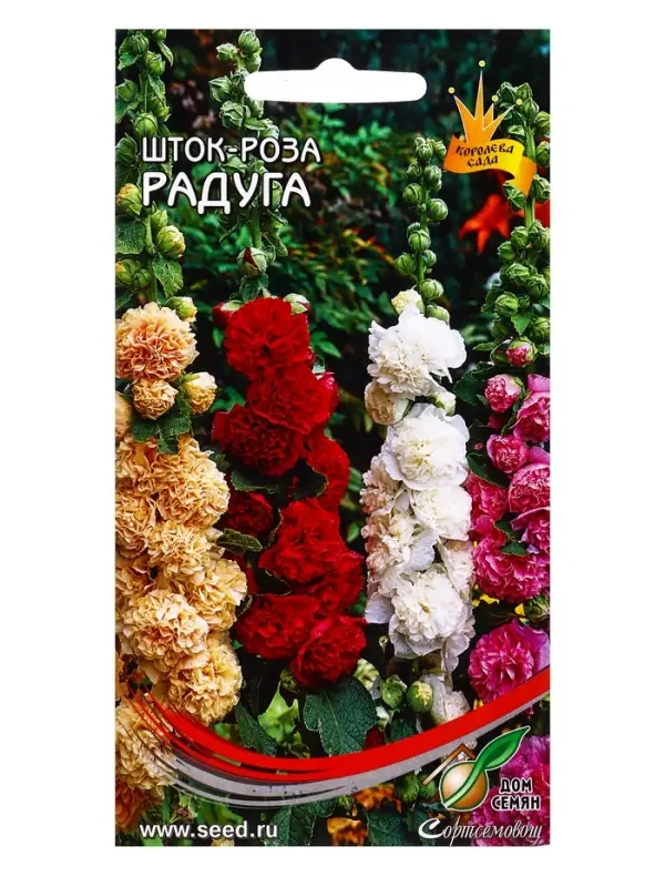 Семена цветов Шток- роза Радуга 17 шт