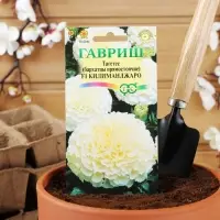 Семена цветов Бархатцы прямые (Тагетес) "Килиманджаро", ц/п,  F1, 0,05 г
