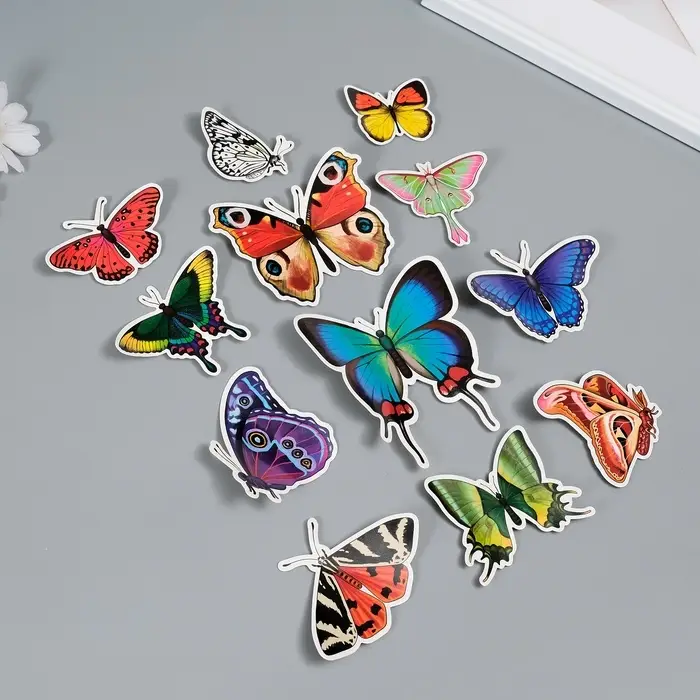 Набор магнитов на холодильник &laquo;Натуральные&raquo;, 12 шт., картон, h=4-10 см