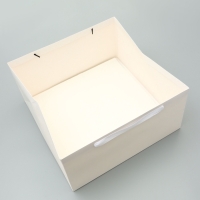 Пакет для торта, с широким дном 40 х 40 х 19,5 см, белый