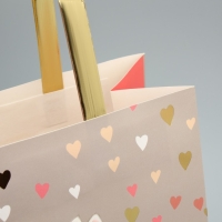 Пакет подарочный, упаковка, &laquo;Тому, кого люблю&raquo;, ML 23 х 27 х 11.5 см