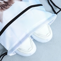 Мешок для обуви &laquo;Милый котик&raquo; 2 секции, 30&times;40 см