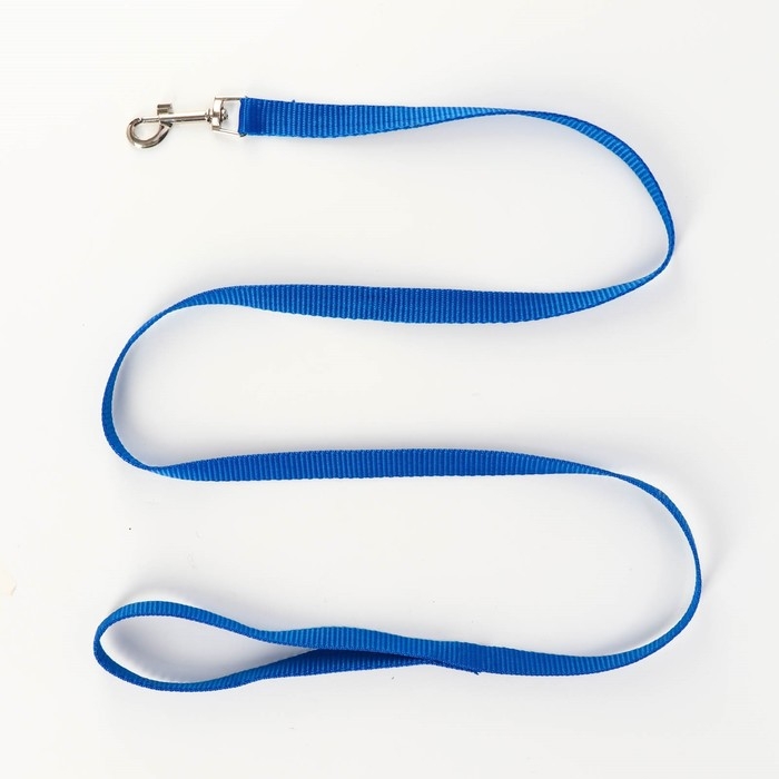Комплект &laquo;Базис&raquo;, поводок 120&times;1.5 см, шлейка 32-46&times;1.5 см, синий