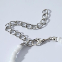 Колье &laquo;Бисер&raquo; юность, цветное, 30 см