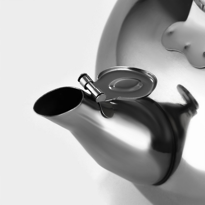 Чайник &laquo;Арес&raquo;, 1,5 л, с ситом