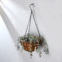 Кашпо подвесное, d = 20 см, с кокосовым вкладышем, &laquo;Полусфера&raquo;