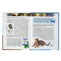 Детская энциклопедия &laquo;Кошки&raquo;