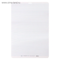 Доска маркерная A3 (49 х 33 см) Calligrata, двусторонняя: клетка/линейка, синяя