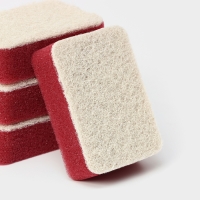 Губка для посуды с ионами серебра Raccoon, 4 шт, 9,5&times;6,5&times;3 см