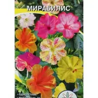 Семена цветов Мирабилис смесь окрасок, О, 0,5 г