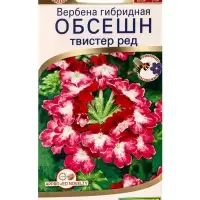 Семена цветов Вербена Обсешн твистер ред  Спецсерия Syngenta, Ц/П,5 шт.